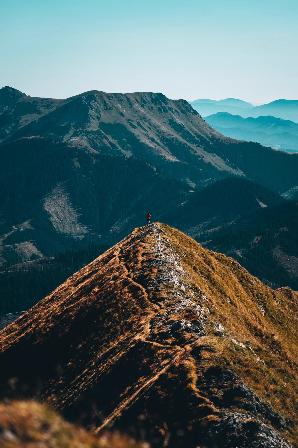 Rocky mountain peaks catching warm light at sunrise.